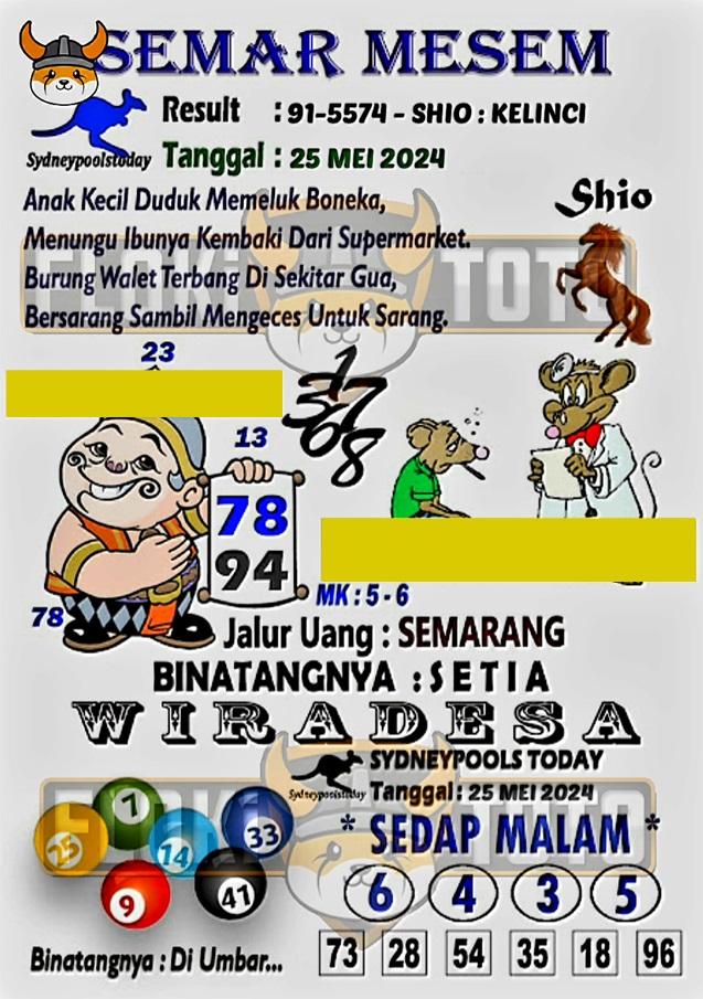 SYAIR SDY VIP